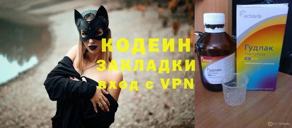 индика Бронницы