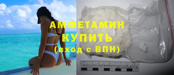 индика Бронницы