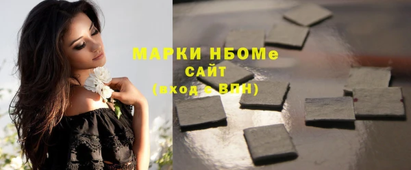 индика Бронницы