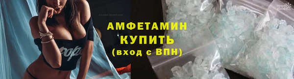 индика Бронницы