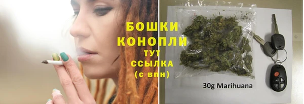 индика Бронницы