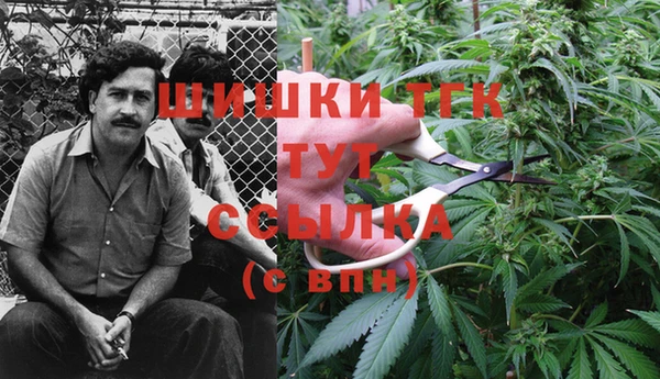 прущие крисы Бородино