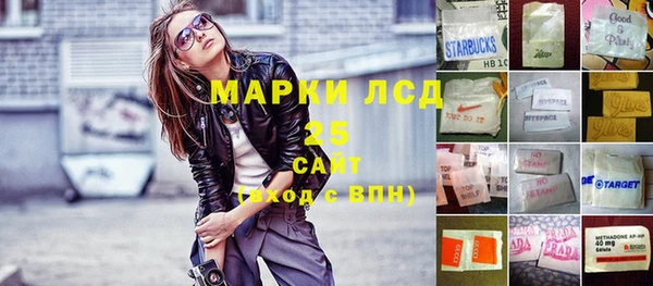 прущие крисы Бородино