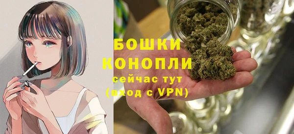 индика Бронницы