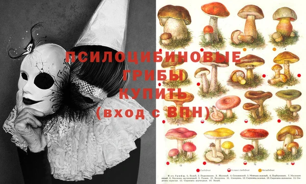 прущие крисы Бородино